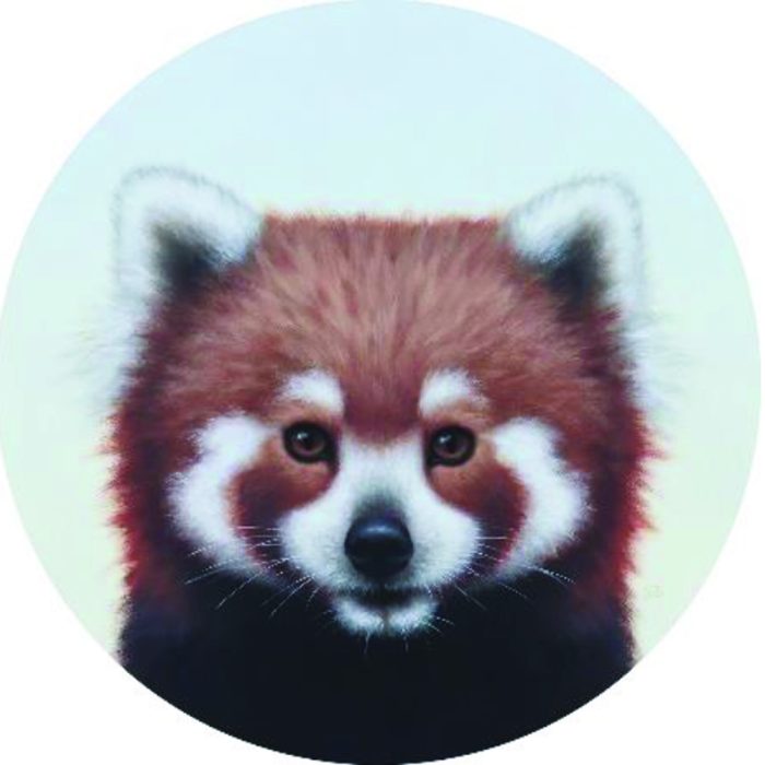 Sarah Becktel "Red Panda"