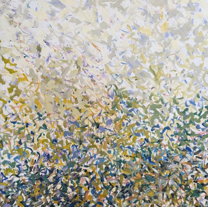 Petal Storm