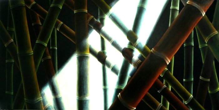 "Bamboo and Light Ray"