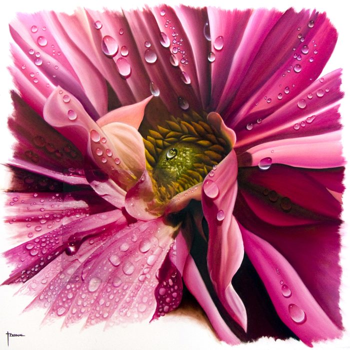 "Pink Dahlia"