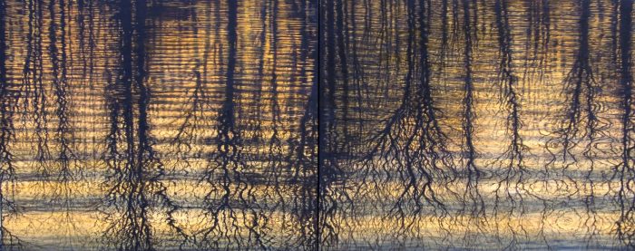 "Reflections"