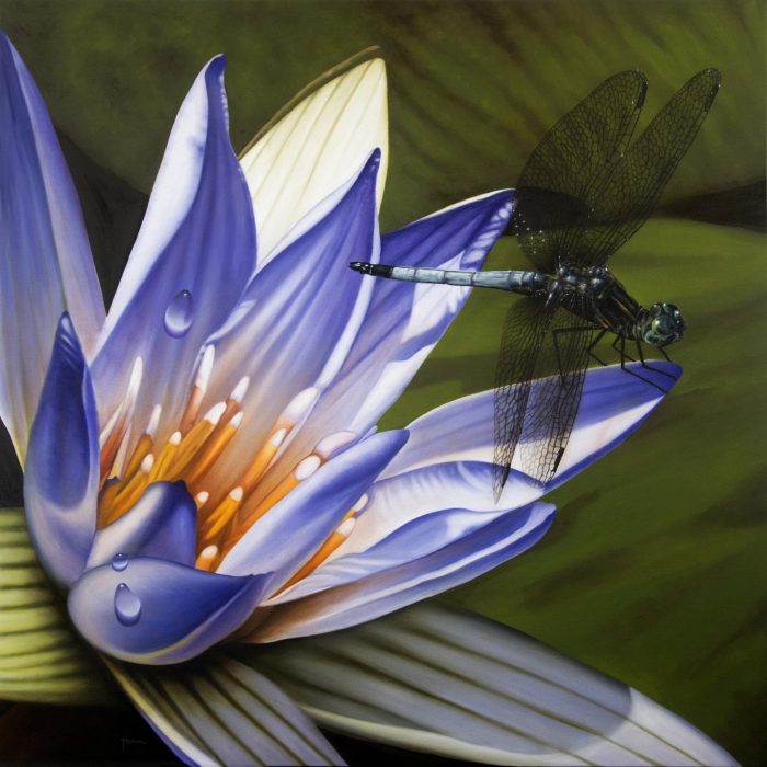 "Waterlily and Dragonfly""